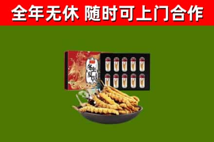 招远市烟酒回收冬虫夏草礼盒.jpg